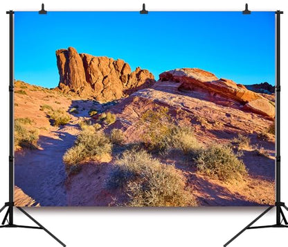 7x5FT Desert Backdrop Reptile Habitat Blue Sky Desert Rocky Bush Natural Scenery Photography Background Aquarium Background Hiking Camping Pictures Home Decor Photo Studio Props - color: Natural landscape backdrop 3