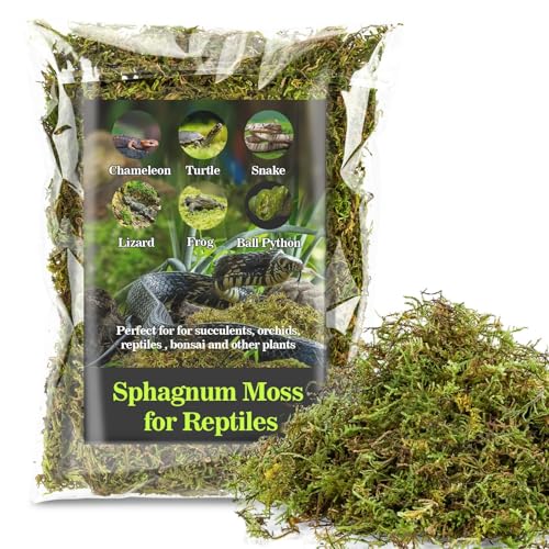 Sukh Sphagnum Moss for Reptiles - Green Terrarium Moss Substrate, 5oz | Habitat Bedding for Gecko, Snake, Turtle, Frog, Bearded Dragon, Jumping Spider, Chameleon, Enclosure & Tank Accessories Decor - size: 5 Ounces