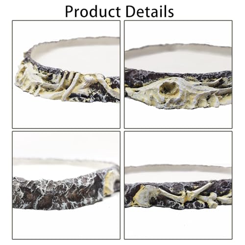 Tfwadmx Reptile Water Bowl, Reptile Feeding Dish, Bearded Dragon Water Dish, Turtle Feeding Bowl for Tortoises, Snakes, Lizards, Geckos, Chameleons - color: Bowl-1Pcs