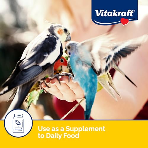 Vitakraft VitaSmart Egg Food for Birds - Daily Supplement for Parrots, Parakeets, Cockatiels, and Canaries - Bird Calcium Supplement 1.1 Pound (Pack of 1) - size: 1.1 Pound (Pack of 1)