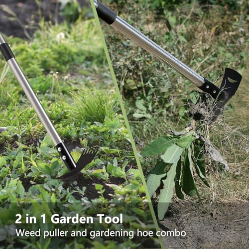 Weed Remover Tool with Long Handle(58IN), 2-in-1 Hand Weed Puller with Rake & Garden Hoe Combo for Gardening, Manual Weeding Tools for Gardens, Yards, Patios, Lawns, and Paved Areas