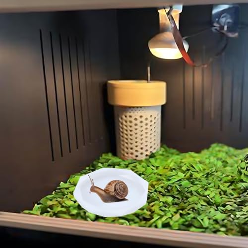 Snail Food and Water Bowl, Pet Snail Feeder, Small Reptile Food Dish Bowl Silicone Calcium Dish for Land Snails Lizard Gecko Bearded Dragon Chameleon and Hermit Crab (White, 2 Pcs)