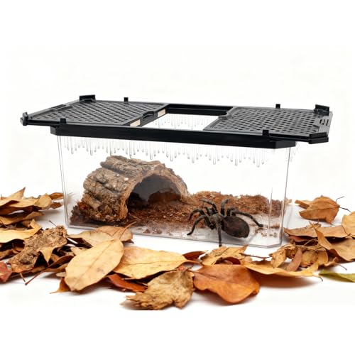 Reptile Terrarium,Tarantula Enclosure,Spider Tank Starter Kit,Leopard Gecko Container,Hermit Crab Habitat,Lizard Enclosure,Insect Housing,Jumping Spider Cage,Small Bearded Dragon Vivarium