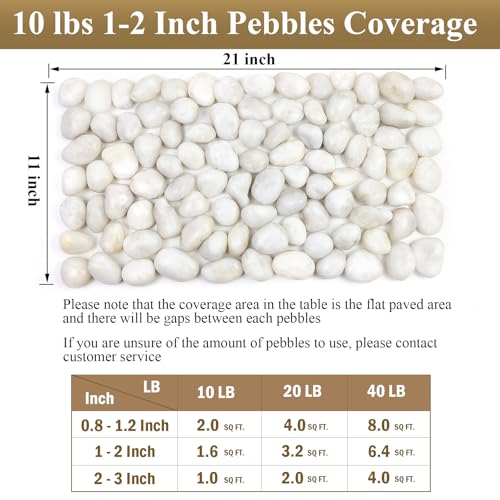 FANTIAN 10 lbs White River Rocks, 1-2 Inch Polished Pebbles for Indoor Plants, Decorative White Stones for Plants, Vase, Aquarium, Fish Tank, Landscaping and Garden - size: 1-2 Inch, style: 10 Pounds