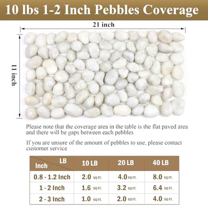 FANTIAN 10 lbs White River Rocks, 1-2 Inch Polished Pebbles for Indoor Plants, Decorative White Stones for Plants, Vase, Aquarium, Fish Tank, Landscaping and Garden - size: 1-2 Inch, style: 10 Pounds