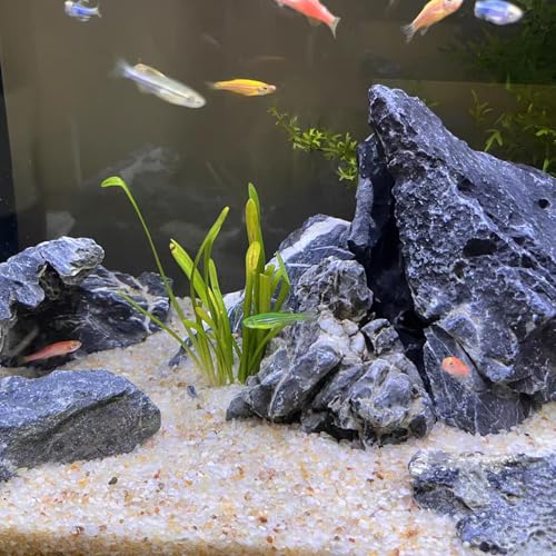 FANTIAN Aquarium Sand, 10 lbs Fish Tank Sand, Beige | Aquarium Substrate Gravel, Safe for Fish Tank, Shrimp, Terrariums, Aquatic, Plant, Fire Pits, Candle, Vase, Crafts - color: Beige, size: 10 LB