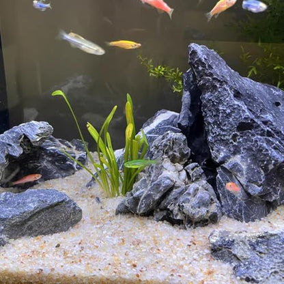 FANTIAN Aquarium Sand, 10 lbs Fish Tank Sand, Beige | Aquarium Substrate Gravel, Safe for Fish Tank, Shrimp, Terrariums, Aquatic, Plant, Fire Pits, Candle, Vase, Crafts - color: Beige, size: 10 LB