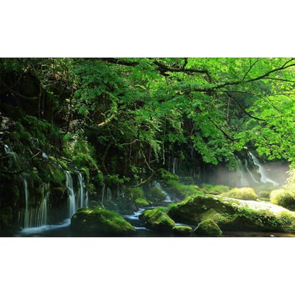 Mountain Waterfall Aquarium Background Tropical Jungle Rainforest Fish Tank Background Stunning Cascading Falls Mossy Rocks Terrarium Backgrounds Tranquil Stream Trees Reptile Tank Backgrounds 24x16in - color: Green, size: 24(W)x16(H)in