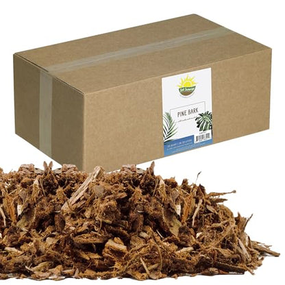 Soil Sunrise 100% Natural Pine Bark Mulch Nuggets (30 Quarts) Small Mulch Chips for Indoor/Outdoor Container Gardening, Ideal for Soil Supplement, Houseplant Mulch, and Terrariums - size: 30 Quarts