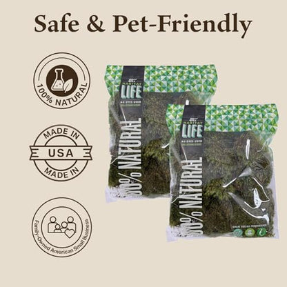 Mood Moss for Terrarium Habitats, Medium 2-Pack | Preserved Moss for Reptiles, Amphibians & Invertebrates Terrariums, Humidity Control, Soft, Dye-Free, Family Owned, USA Made - size: Medium 2-pack, style: Mood Moss
