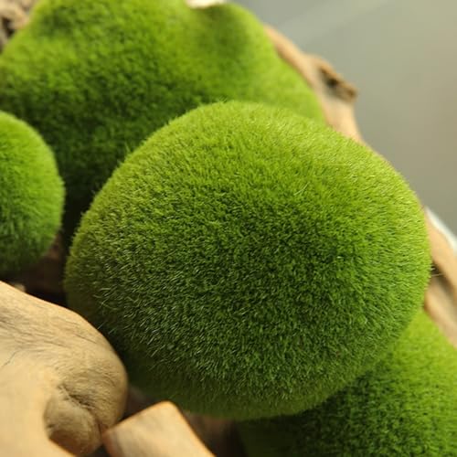 40PCS Artificial Moss Rocks, 4 Size Fake Moss Rocks, Green Moss Decor for Floral Arrangements, Fairy Gardens and Crafting