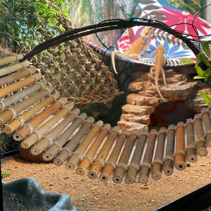 Reptile Bamboo Climbing Bridge,Lizard Ladder Hammock Bridge Bearded Dragon Hanging Bamboo Ladder Lounger Lizard Hammock Terrarium Vines Decor Reptile Habitat Tank Accessories for Chameleon Gecko - style: M【12.0 x 6.1 In】