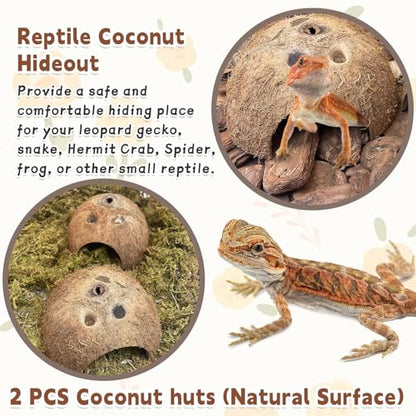 PINVNBY Natural Coconut Reptile Hideouts Lizard, Coco Hut Hermit Crab Hut Aquarium Fish Hide Cave for Small Reptile Crested Gecko Leopard Gecko Spider Snail Climber Toys (2 PCS Natural Surface) - size: 2 PCS Natural Surface