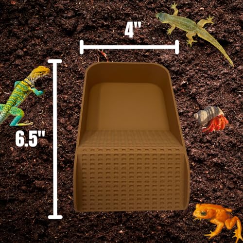 Hermit Crab Watering Pool | Platform Pool Accessory with Access Ramp for Hermit Crabs | 6.5" x 4" | Made in USA (Fresh Only, Tan) - color: Fresh Only, Tan