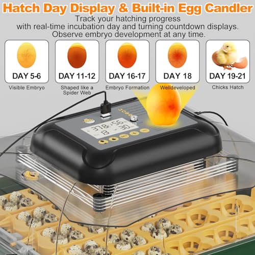 49 Egg Incubator for Hatching Eggs with Automatic Egg Turning, Temperature & Humidity Display, Hatch Day Countdown, Auto Water Refilling System, Egg Candler, Multifunctional Egg Tray for Chicken - size: M- 49 Chicken Eggs