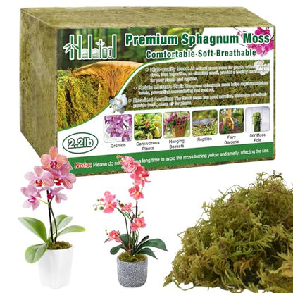 Halatool 2.2 LB Natural Green Forest Moss, 50 QT Long Fiber Sphagnum Moss | No Dyes, Water Retention & Areation, Dried Orchid Moss for Potted Plants Indoor & Outdoor, Orchids Repotting, Terrariums - size: 2.2 lb