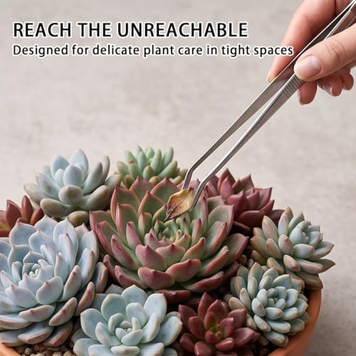 2-in-1 Bonsai Tweezers Set - 8.8" Stainless Steel Long Plant Tweezers with Rake & Spatula Tips, Straight + Curved Tools for Bonsai, Succulents & Terrariums