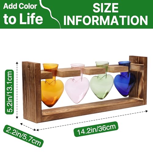 Plant Propagation Stations Heart Plant Terrarium Kit | Gift for Women Plant Lover Glass Vases - color: Color02