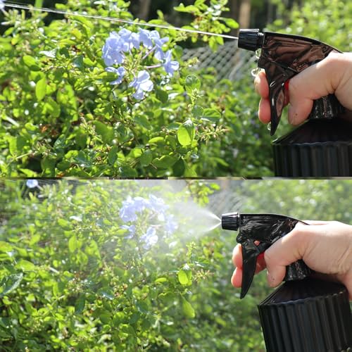 Glass Spray Bottle, Pressure Watering Can, Indoor Plant Mister, Adjustable Nozzle Watering Glass 0.45L/15.22oz Spray Bottle for Garden Plants Cleaning Solutions (Black) - color: Black