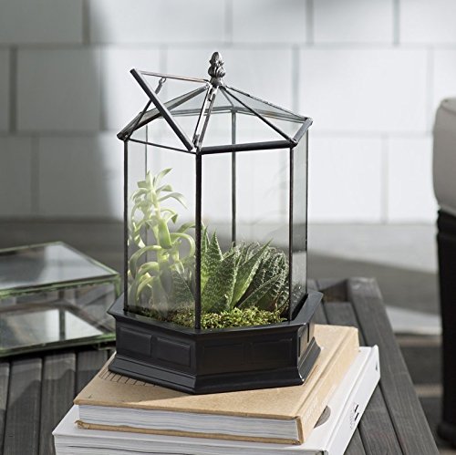 H Potter Six-Sided Glass Terrarium Wardian Case Succulent Planter | Hinged Roof, Indoor Plant Display, Resin Base, Decorative Tabletop