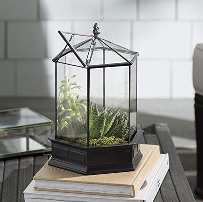 H Potter Six-Sided Glass Terrarium Wardian Case Succulent Planter | Hinged Roof, Indoor Plant Display, Resin Base, Decorative Tabletop