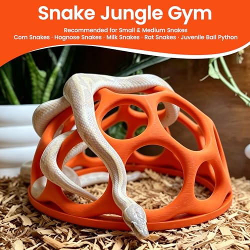 Medium Snake Jungle Gym for Small to Medium Snakes, Reptile Climbing Frame and Enrichment Decor for Corn Snakes, Hognose Snakes, Juvenile Ball Pythons, Bearded Dragons and Chameleons (Orange) - color: Orange