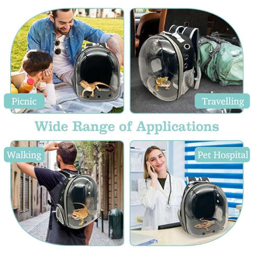 PINVNBY Bearded Dragon Carrier Backpack with Harness and Leash Set Large Reptile Travel Carrier Portable Lizard Backpack Clear Bubble Window Small Animal Carrying Bag for Gecko Kitten Rabbit (Black) - color: Black