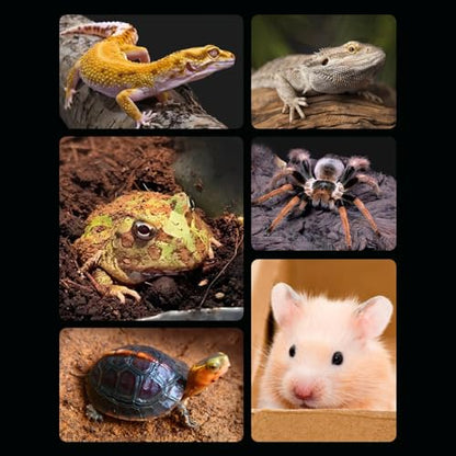 Haofy Reptile Water Bottle 6.3 x 5.9 x 5. inches Turtle Food and Water Bowl Automatic Feeders Waterer Tortoise Dispenser Bottle Feeding Dish for Lizard Chameleon (L) - color: Earthy Yellow