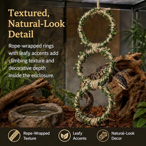 Snake Climbing Rings for Ball Python - Enrichment Toys for Corn Snake | Reptiletank Cage Decor Habitat Accessories - Terrarium, Bearded Dragon, Chameleon, Iguana, Gecko, Lizard, Parrot - color: 1PCS - GREEN