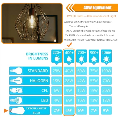 winsaLED 40 Watt Light Bulbs, E26 Bulb, 4000K Cool White 4W LED Edison Bulbs, Flickering Free, 90 High CRI, 450LM, Not Dimmable, Pack of 12 - color: 4000k-cool White