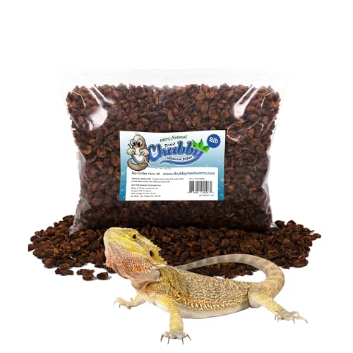 Chubby Dried Silkworm Pupae | 2 lbs | High-Protein Treat for Koi, Fish, Reptiles & Terrapins Nutrient-Rich Calcium Snack | High-Protein Treat, For Koi, Fish, Reptiles & Terrapins, Nutrient-Rich, Calcium Snack - size: 2 Pound (Pack of 1)