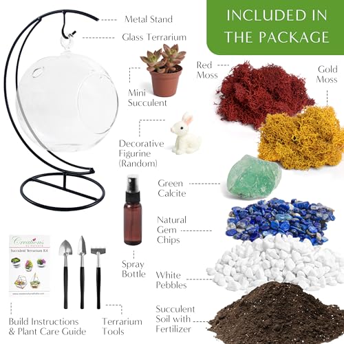 Creations by Nathalie - 5" Glass Globe Succulent Terrarium Kit, Hanging DIY Starter Kit for Kids and Adult, Metal Stand, Reindeer Moss, Crystal & Rocks, Tools, Figurine (Live Plant Included) - color: Globe Glass