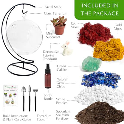 Creations by Nathalie - 5" Glass Globe Succulent Terrarium Kit, Hanging DIY Starter Kit for Kids and Adult, Metal Stand, Reindeer Moss, Crystal & Rocks, Tools, Figurine (Live Plant Included) - color: Globe Glass