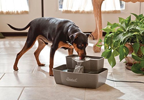 PetSafe Drinkwell Multi-Tier Pet Fountain, Cats & Dogs, Large | 100 oz Capacity, 2 Drinking Heights, Great for Senior/Arthritic Pets, Top-Rack Dishwasher Safe - size: 100oz Capacity