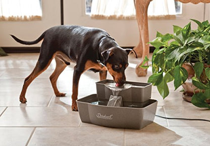 PetSafe Drinkwell Multi-Tier Pet Fountain, Cats & Dogs, Large | 100 oz Capacity, 2 Drinking Heights, Great for Senior/Arthritic Pets, Top-Rack Dishwasher Safe - size: 100oz Capacity