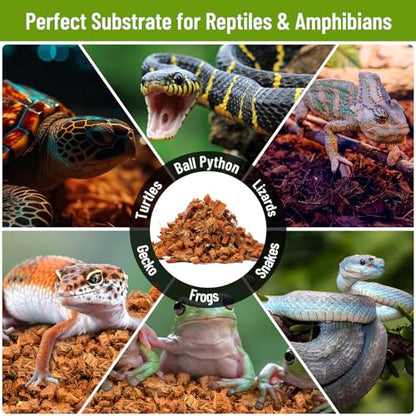 Riare 2Pack Coconut Husk Chip for Reptiles, 2.2 LB Coconut Fiber Substrate | Coco Chips Substrate Coconut Husk Bedding for Snakes, Tortoises, Ball Python, Bearded Dragon, Geckos, Lizards, Frogs - color: 2 Pack