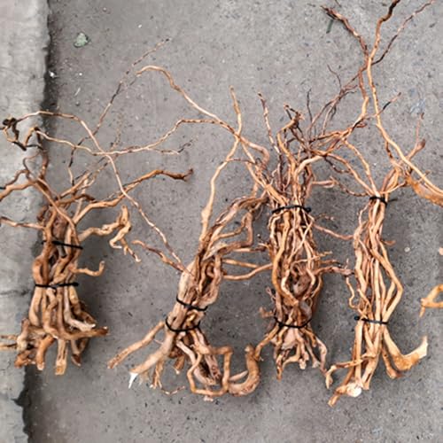 Natural Driftwood Root Trunk Tree Aquarium Decor, 10-30 CM | Randomly Bundled, Fish Tanks, Terrariums, Aquascaping & Planted Tanks
