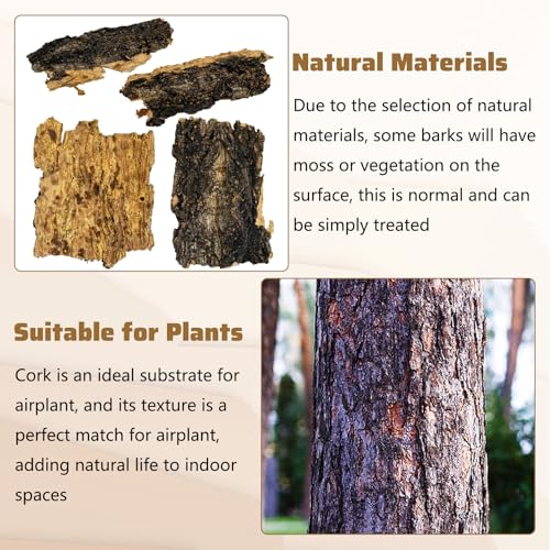 VCEPJH Cork Bark for Reptiles, 4 Pcs Natural Cork Flats for Terrarium Cork Wood Pieces for Snakes Spiders Bearded Dragons Hermit Crabs Geckos Isopod