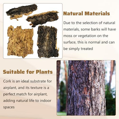 VCEPJH Cork Bark for Reptiles, 4 Pcs Natural Cork Flats for Terrarium Cork Wood Pieces for Snakes Spiders Bearded Dragons Hermit Crabs Geckos Isopod