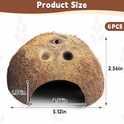 PINVNBY Natural Coconut Reptile Hideouts Lizard, Coco Hut Hermit Crab Hut Aquarium Fish Hide Cave for Small Reptile Crested Gecko Leopard Gecko Spider Snail Climber Toys (6 PCS Natural Surface) - size: 6 PCS Natural Surface