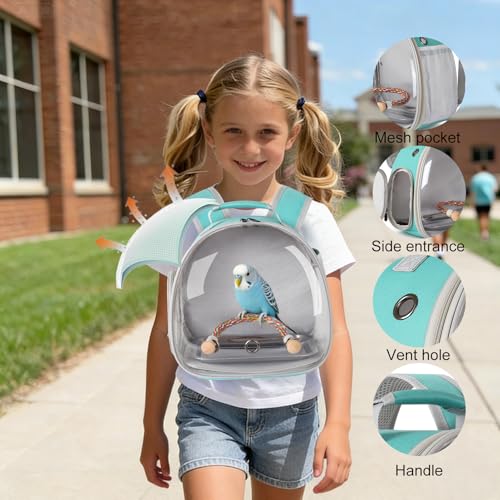 Small Bird Travel Backpack Carrier Cage, Backpack to Transport Backpack Carrier with Metal Tray Stand Perch for Parakeet Cockatiel Budgies Vet Carry Book Bag - color: Green