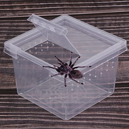 Baoblaze Transparent Breeding Box for //Reptile, Small Cage Hatching Container, Food Storage Viewing .6x2.6x1.7inch, 30Pcs