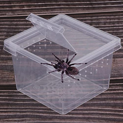 Baoblaze Transparent Breeding Box for //Reptile, Small Cage Hatching Container, Food Storage Viewing .6x2.6x1.7inch, 30Pcs