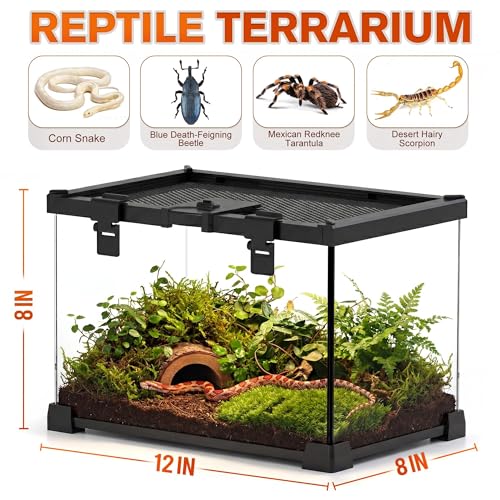 12"x8"x8" Reptile Terrarium, Escape-Proof Glass Terrestrial Vivarium for Hatchling Snakes Such as Corn Snakes, with Escape-Proof Lock & Feeding Hatch - size: 12"D x 8"W x 8"H