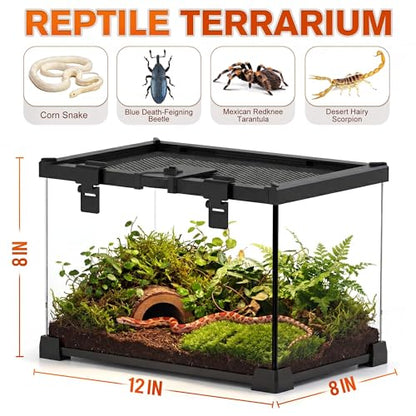 12"x8"x8" Reptile Terrarium, Escape-Proof Glass Terrestrial Vivarium for Hatchling Snakes Such as Corn Snakes, with Escape-Proof Lock & Feeding Hatch - size: 12"D x 8"W x 8"H