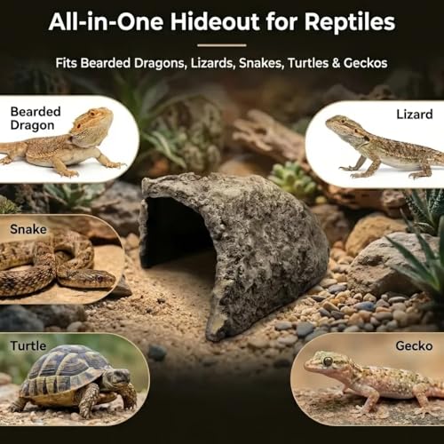 Large Size Rock Cave Habitat Hideout for Reptiles & Amphibians, Terrarium & Aquarium Decor, Perfect Hide Cave for Bearded Dragons, Lizards, Snakes, Turtles, Geckos, Tortoises & Small Animals