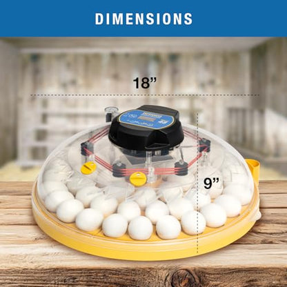 Brinsea Maxi 48 Advance Egg Incubator with Automatic Egg Turning and Temperature Control for Hatching 48 Chicken, Duck, or Other Eggs- Optimal Flexibility with Mix & Match Sizes - size: 48 Eggs