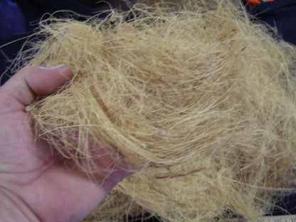 1/2 Pound, Very Clean, for Orchids, Crafts, Pet Bedding
