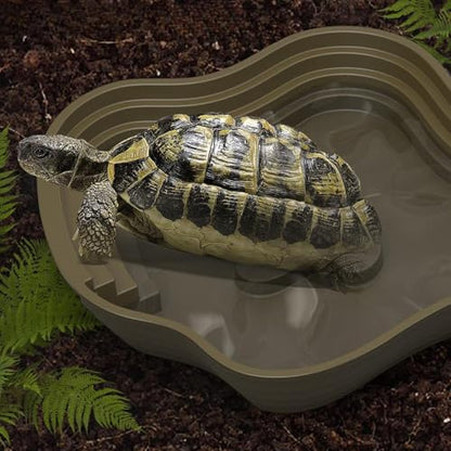Reptile Bathing Pool Tortoise Water Dish Lizards Habitat Turtle Bath for Gecko Tortoise, Green S - color: Green S