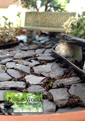 Natural Slate Stone -1/2 to 1 inch. Perfect Size for Miniature or Fairy Gardens, Aquariums, Reptiles, Terrariums, Model Railroads, Dioramas & Wargaming (2lbs Grey) - style: 2lbs grey